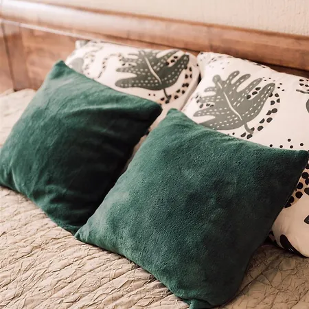Harmony Apartment/9 Guests/ 4 Bedroom / Old Town Apartment